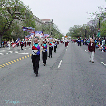 2003 Cherry Blossom Festival: Old Glory waving proudly.  