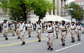 2003 Cherry Blossom Festival: The Marching Elites strut their stuff on Constriction Avenue. 
