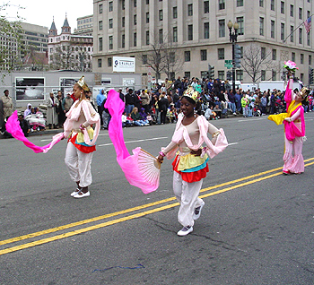 2003 Cherry Blossom Festival: The 2003 festival marks the 91st celebration of the 1912 gift of the 3,000 cherry trees from Tokyo to Washington, D.C.    