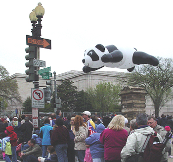 2003 Cherry Blossom Festival: This Giant Panda was just one of dozens of floats in this years festival.   