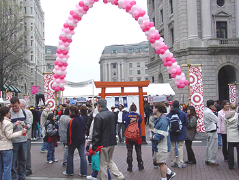 2003 Cherry Blossom Festival: Sunday, April 6th held Japanese Chamber Music. 