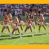 The Redskins Cheerleaders squad of 40 women was selected from a pool of approximately 400 applicants.
