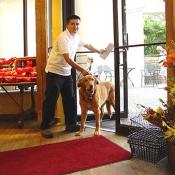 Wiley is greeted at the door by a Marvelous Market employee.