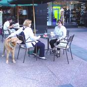 Wiley stops to receive a few pats on the back from these Starbuck Coffee patrons.