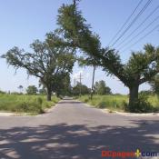 August 2, 2007 - Ninth Ward of New Orleans - This street was once filled with homes.