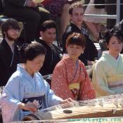 Washington Toho Koto Society led by Mrs. Okamoto in the pale blue kamono.