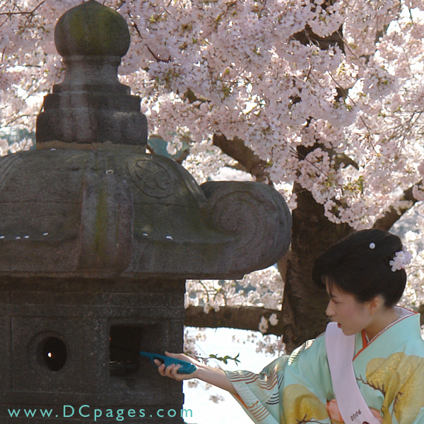 Kurumi Furusawa lights a stone lantern carved around 1651. The Lantern stood for over 300 years on the grounds of the Toeizan Kan'eiji Temple in Japan. It now resides on the Jefferson Tidal Basin.