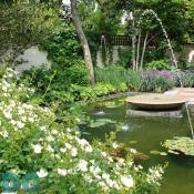 A beautiful georgetown flower pond.