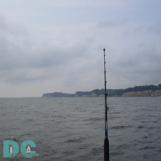 The fishing pole overlooks Calvert Cliffs for one last pass at the power plant.