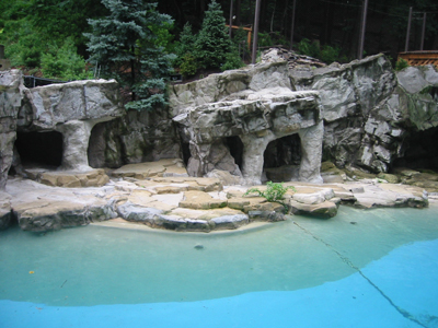 The National Zoo has pools and rocky substrates for the both seals and sea lions to live in.