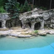 The National Zoo has pools and rocky substrates for the both seals and sea lions to live in.