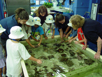 The National Zoo has all kinds of programs for the kids to learn more about the sea life.