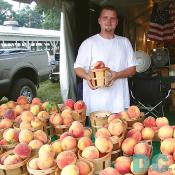 This farmer displays his locally grown Montgomery County peaches.