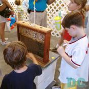 Childeren were fascinated to watch live dancing honey bees on display at the Montgomery fair.