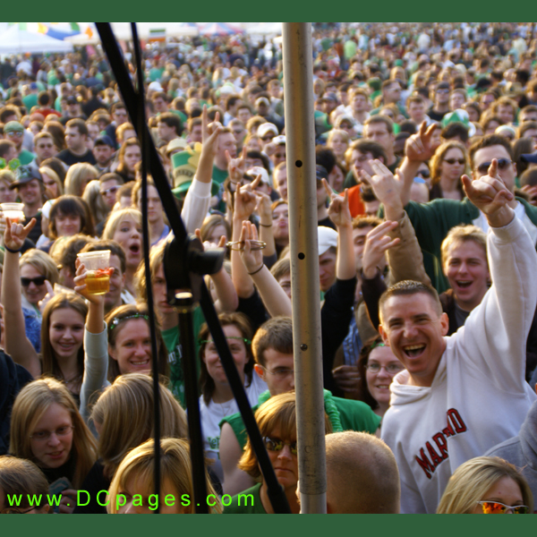The crowd likes what they hear at the Shamrock Festival Washington DC