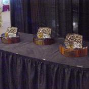 Redskin National Football Conference (NFC) Championship trophies.