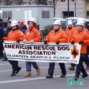 Since 1972, the American Rescue Dog Association has responded to thousands of search
missions for lost children, elderly persons, hunters, hikers and victims of major disasters
including the attacks on the Pentagon and World Trade Center Towers.
