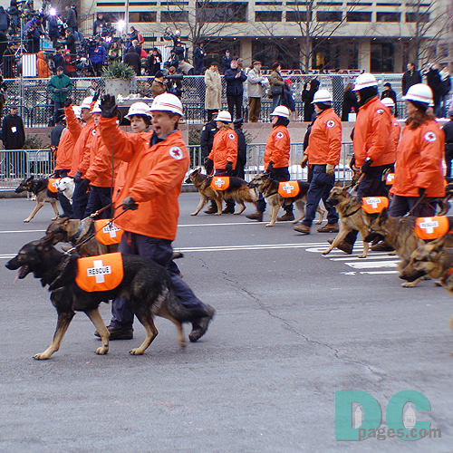 The American Rescue Dog Association is located in six states and Canada, is the nation's oldest search dog association.