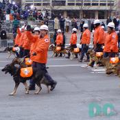 The American Rescue Dog Association is located in six states and Canada, is the nation's oldest search dog association.