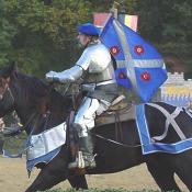 A Knight in Full Plate Mail 