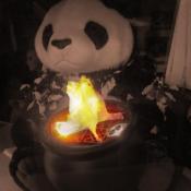 This panda shared some warmth with everyone.