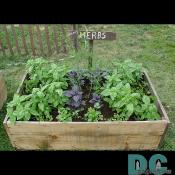 A herb garden provides natural rememedies for common ailments, as well as seasoning in food.