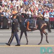 Ronald Reagan's horse is led down Constitution Avenue.