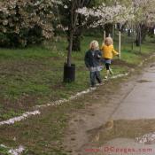 Wednesday, 11:39 am EST, April 4, 2007, Two children have fun following cherry blossom trail washed up from the storm.
