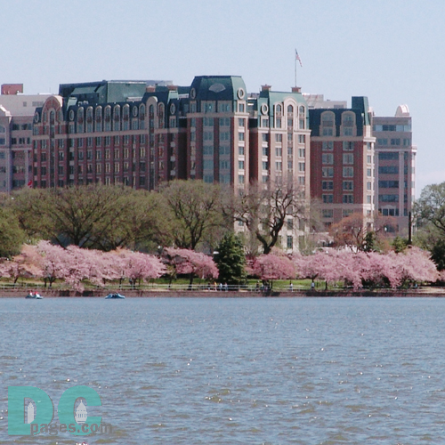 Thursday, 1:00 pm EST, April 14, 2005, Cherry Blossom View of the Mandarin Oriental Hotel located next to the Potomac Tidal Basin and the Jefferson Memorial.