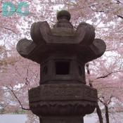 Wednesday, 10:00 am EST, April 13, 2005, Japanese Peace Lantern 

